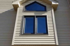 Naperville-Architecture