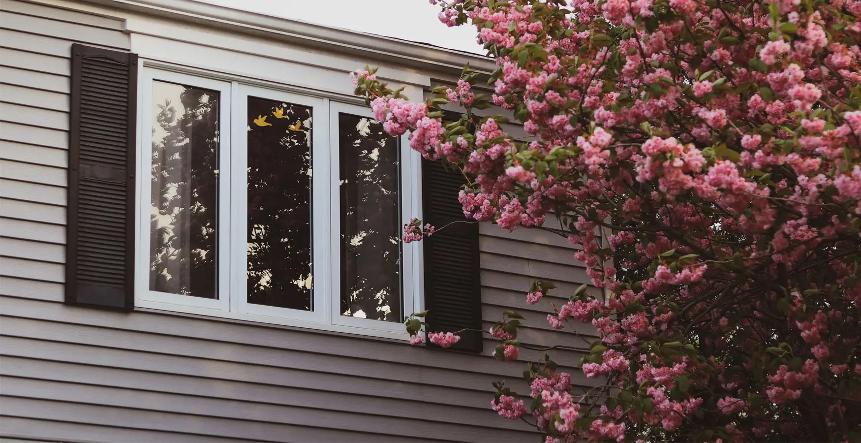 vinyl siding companies in the chicago area